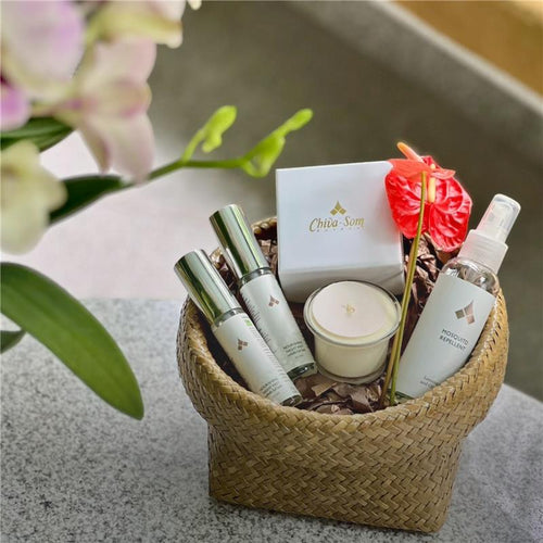 Seasonal Wellness Ritual | 2026 Festive Gifts