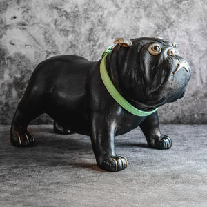 "Bebe" Pug with Sterling Silver Features on Black Leather with Leather Collar