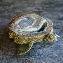 Load image into Gallery viewer, “Squirt” Sterling Silver Hornbill Turtle on Raw Grey Agate Stone